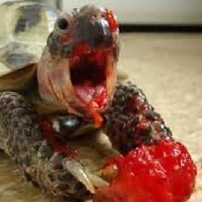 ProPsychoMan's avatar