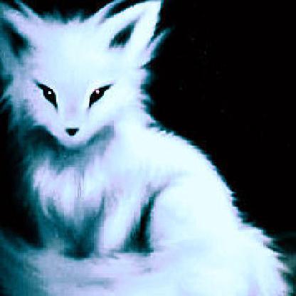 XxTheWhiteFoxX's avatar