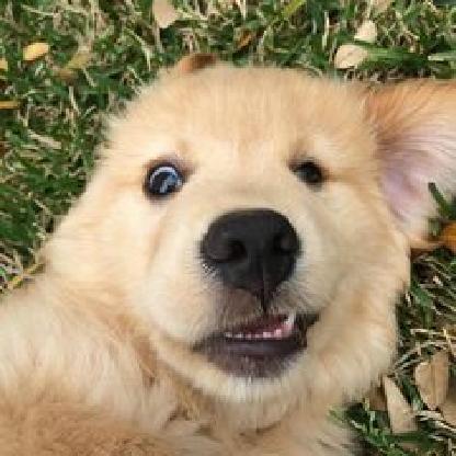 yaboicreativity's avatar