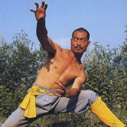 I-Kungfu-Guy-I's avatar