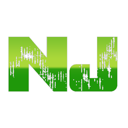 DiizuOnKick's avatar