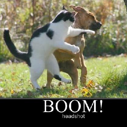 LIQUIDSMOKE79's avatar