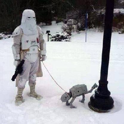 MrIncognitoII's avatar