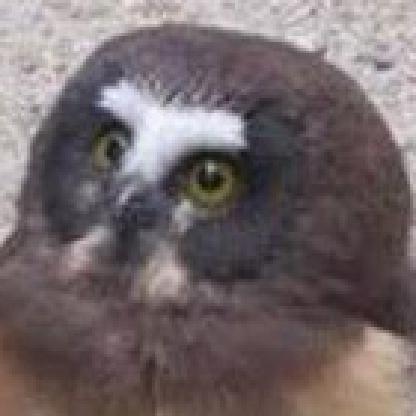 sirbackflip's avatar