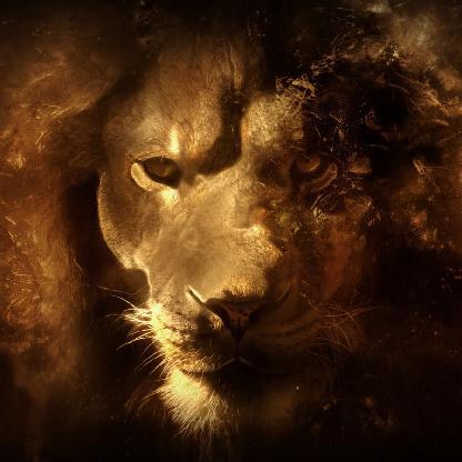 b477le_force_'s avatar