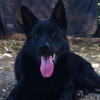 TheLargerNL's avatar