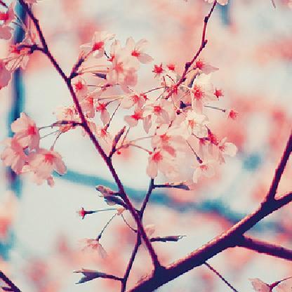 4e326a7657c1726f's avatar