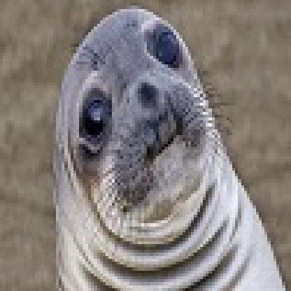 DamagedDork's avatar