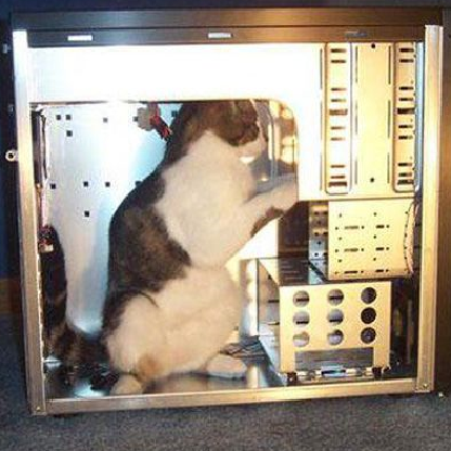 NurseApoptosis's avatar