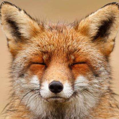 -EPH-Foxalot's avatar