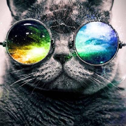 SimmerDownMeow's avatar