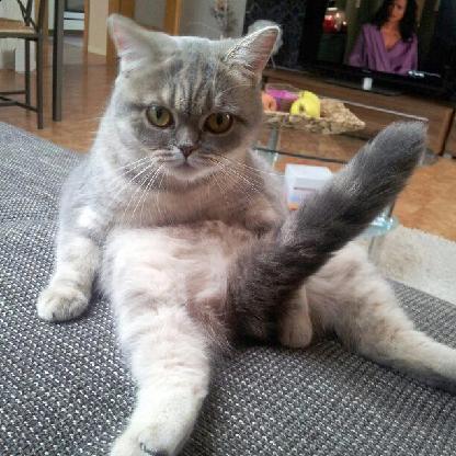 CorboDoesThings's avatar