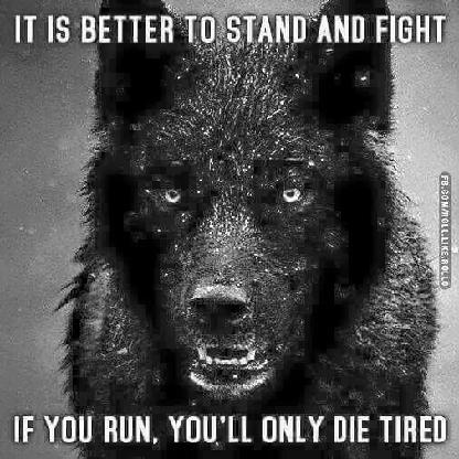 Lone_Wolf_Mc's avatar