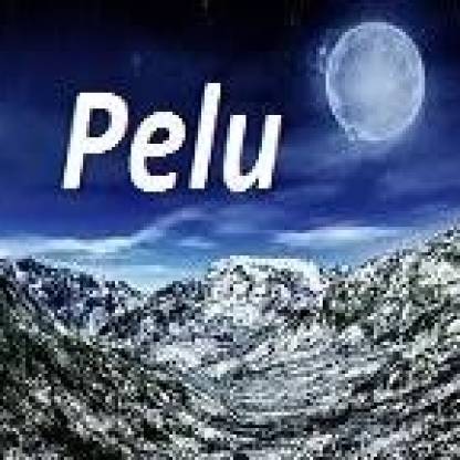 pelu00's avatar