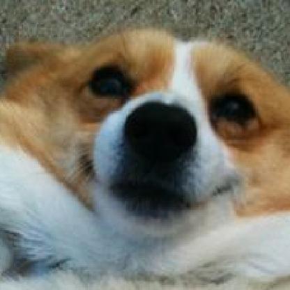 Elliblomqvist's avatar