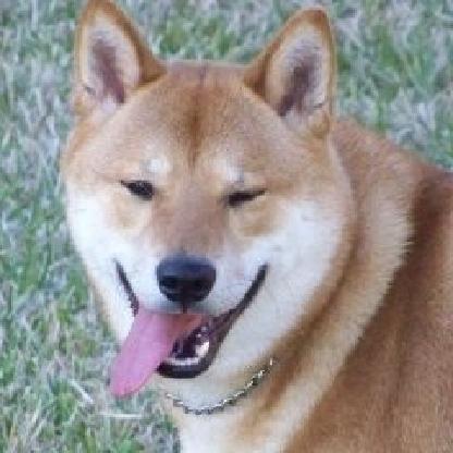 Landoram's avatar
