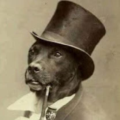 SrGATOPRETO's avatar