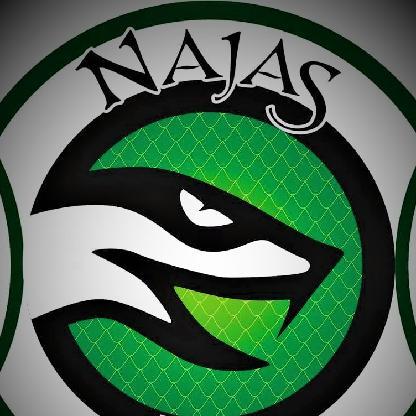 carvalho-NAJAS's avatar