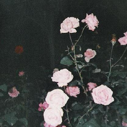 chloesarahh's avatar