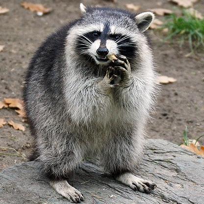 StealAndRinse's avatar