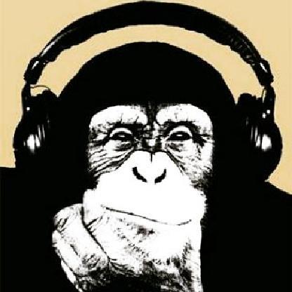 funkymonkey511's avatar