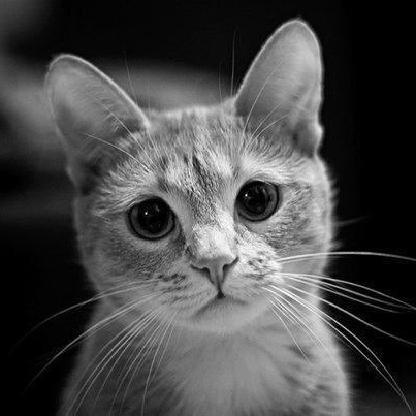 d67c9b61e2abf9d8's avatar