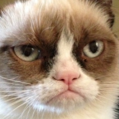 MunchkinnCat's avatar