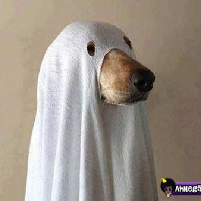 CachorroFantasma's avatar