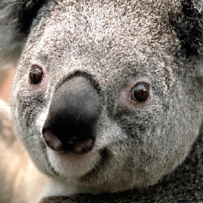 justinmmiller720's avatar