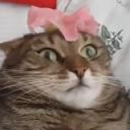 LordTiuri's avatar