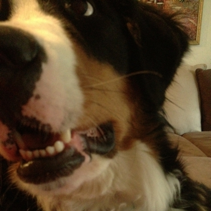 zetterberg2222's avatar