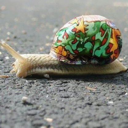 irisgaljack's avatar