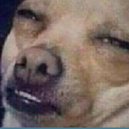 juanm98's avatar