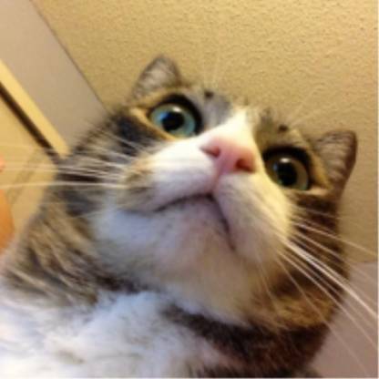 DoctorDentz's avatar