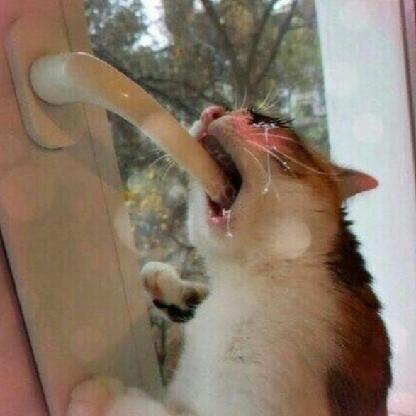 APEX-VinViking's avatar