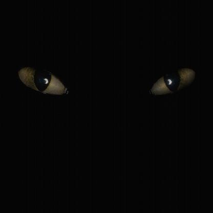 NH4ME's avatar