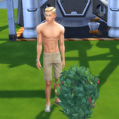 Projektant1984's avatar