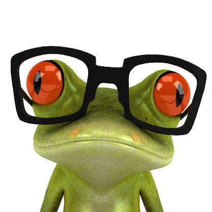 Mage-frog's avatar