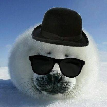 eierbaer007's avatar