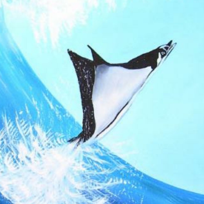 stingray9798's avatar
