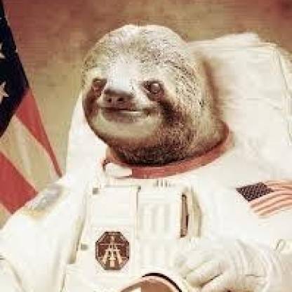 elks34's avatar