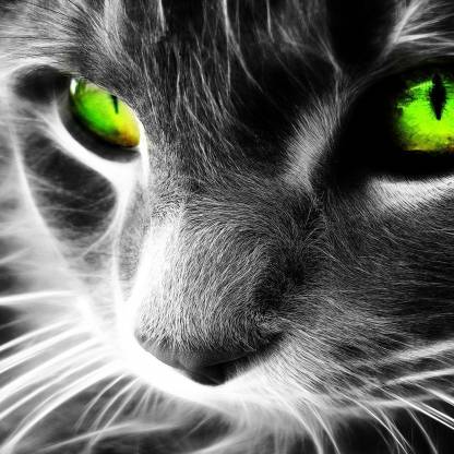 Paradiise40's avatar