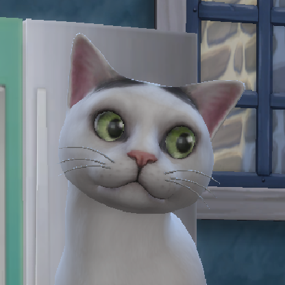 schlummikatz's avatar