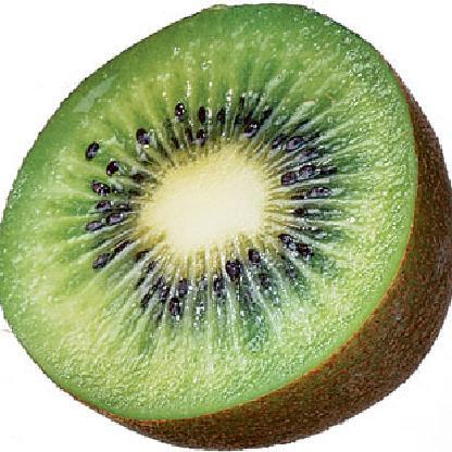 Kancerous_Kiwi's avatar