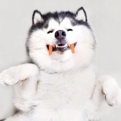 Jaclubs10's avatar