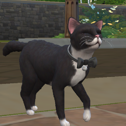 Academicalili's avatar