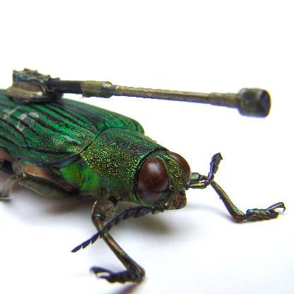 Haubitzenkaefer's avatar