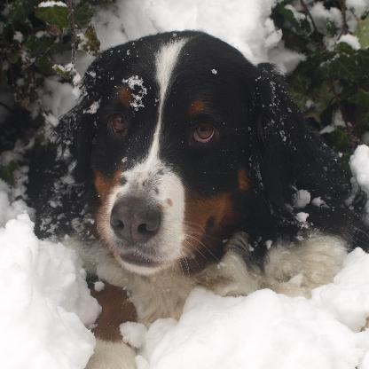 MadyaBadya64's avatar