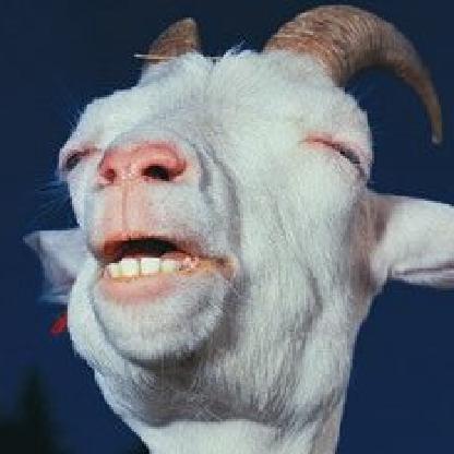 DuckNuget's avatar