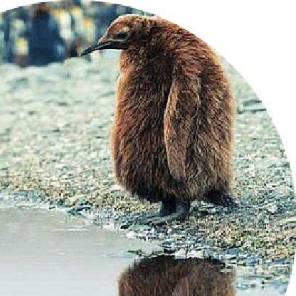 PatheticaAttempt's avatar